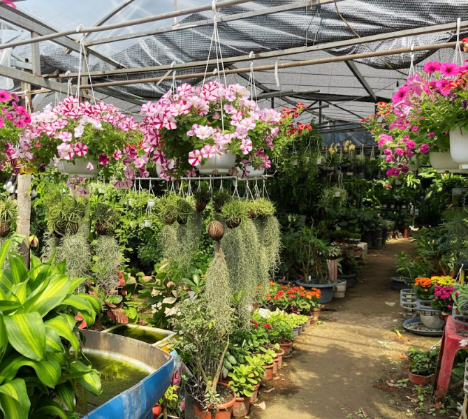 How to Build a Sustainable Garden: Eco-Friendly Tips for a Greener Future