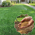120,000 Zoysia Emerald Grass Seeds, Zoysia Grass Seeds, Full Sun, Dense, Grass Seed Shade, Drought Tolerant, Ready to Grow