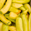 2PPP Yellow Banana Pepper Plants Live, Pepper Plants, 4-7'' Tall