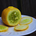 2 Lemon Cucumber Plants Live for Planting, Live Cucumber Plants for Planting, 4 to 7 Inches Tall Vegetable Plant