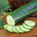 4 Cucumber Plants Live, Marketmore 76 Cucumber Live Plant for Growing, 4 Inc Pot, Live Vegetable Plants for Gardening Outdoors Indoors, 6 Inc to 8 Inc Tall