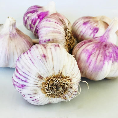 Garlic Bulbs for Planting, 8oz Approx. 4-5 Bulbs for Growing