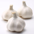 1 Pound Hard Neck Garlic for Planting in Fall, White Garlic Bulb for Planting, Fresh and High Yield, Cold Hardy, Planting Softneck Hardneck