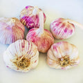 Garlic Bulbs for Planting, 8oz Approx. 4-5 Bulbs for Growing
