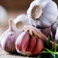 Garlic Bulbs for Planting, 8oz Approx. 4-5 Bulbs for Growing