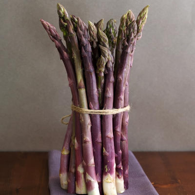 10 Purple Asparagus Roots, Bare Root Asparagus Crowns for Planting, Hardy Perennial Vegetable Garden