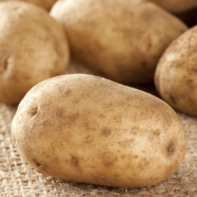 60 Russet Potato Seeds for Growing Outdoors, True Potato Seeds, Heirloom