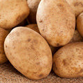 Russet Potato Seeds for Planting Outdoors, 60 True Potato Seeds, Heirloom Easy for Growing