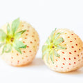 Combo 10 Roots White Strawberry Carolina Pineberry Live Plants, Indoors Outdoor for Planting, Very Fragrant, Sweet Flavor