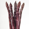 10 Purple Asparagus Roots, Bare Root Asparagus Crowns for Planting, Hardy Perennial Vegetable Garden