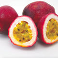 2 High Yield Passion Fruit Plants Live, Red Climbing Passion Vine Tree Live Plant for Outdoor Growing, 5-9" in Tall, Fast Growing Perennial Sweet and Edible Fruits