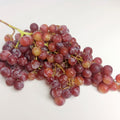 Seedless Grape Vine Live Plant for Planting, 6-10" Potted, Cold Hardy, Spring Fast-Growing and High Yielding (Red Grapes Variety)