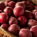 Red Potato Seeds, 60 Seeds True Potato Seeds Vegetable Seeds for Growing
