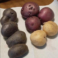 Seed Potatoes for Planting Outdoors, Mixed Red Yellow Purple Inside, 2 Pound Heirloom Potatoes Easy to Plant