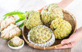Sugar Apple Tree Live Plant, 5 to 9 Inc Tall, Tropical Custard Apple Fruit Tree, Well Rooted
