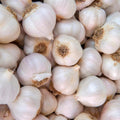 Pack 1 Pound, Mixed Garlic Bulbs for Planting, Hardneck Softneck Garlic Bulbs, for Gardening Outdoors