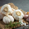 4 Mixed Garlic Bulbs for Planting, Hardneck Mixed Garlic for Growing Outdoors