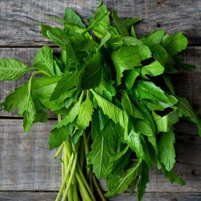 Epazote Live Plant for Planting, Well Rooted Epazote Plants, Perennial Herb for Outdoor Garden 4-8 Inches