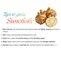 1/2 Lb Jerusalem Artichoke Tubers for Planting, High Yield Sunchoke Rhizomes Bulbs for Planting, Cold Hardy Gardening Indoor Outdoor