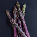 10 Purple Asparagus Roots, Bare Root Asparagus Crowns for Planting, Hardy Perennial Vegetable Garden