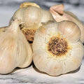 Pack 1 Pound, Mixed Garlic Bulbs for Planting, Hardneck Softneck Garlic Bulbs, for Gardening Outdoors