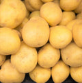 Yukon Potato Seeds, 60 True Potato Seeds Vegetable Heirloom for Growing