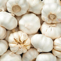 1/2 LB White Garlic Bulbs for Planting in Fall, High Yield Hardneck Garlic Cloves Seeds, Fresh, Cold Hardy and Fast Growing, Various Varieties