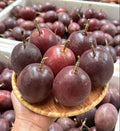 Passion Fruit Plant Live 4-7 Inch, Passionfruit Vine for Outdoor Garden, Tropical Climbing Vine for Trellis, Fence or Backyard Growing (High Yield Passionfruit)
