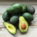 HASS Avocado Plant Live 6-10 Inches Tall, 4 Inc Pot, Well-Rooted Avocado Tree Starter for Home Garden and Containers