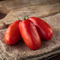San Marzano Tomato Plant Live in 4" Pot, 4-6 Inch Tall Starter Plant, Live Tomato Seedlings for Garden and Container Growing