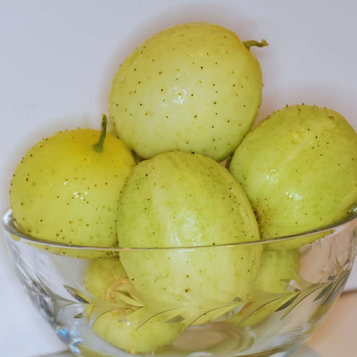 2 Lemon Cucumber Plants Live for Planting, Live Cucumber Plants for Planting, 4 to 7 Inches Tall Vegetable Plant