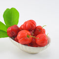 Barbados Cherry Tree Live Plan, Live Barbados Cherry Plant, 4 Inc Pot, 4-7 Inc Tall, Sweet Cherries for Edible Garden