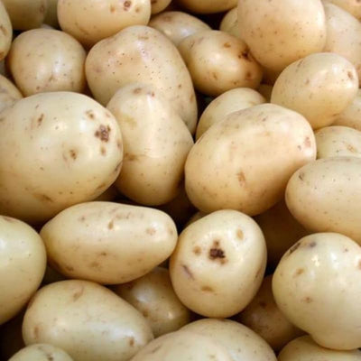 60 Yukon Potato Seeds for Growing Outdoors, True Potato Seeds Easy to Plant