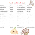 1 Pound Garlic for Planting in Fall Hardneck, 8-10 Large Garlic Bulbs for Planting, Fresh and High Yield Bulb Variety Pack, Hardy and Fast Growing