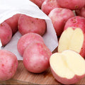 60 Red Potato Seeds for Growing Outdoors, True Potato Seeds Easy to Plant