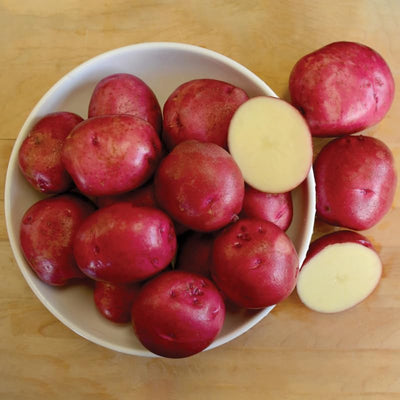 Red Potato Seeds for Planting Outdoors, 60 Seeds True Potato Seeds Growing Potato Seeds