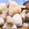 Garlic Bulbs for Planting, Pack 4 Bulbs for Growing Outdoors, Fresh Heirloom Garlic Bulbs