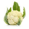 Cauliflower Plant in 4" Pot, Vegetable Cauliflower Live Plant Potted for Planting (White Cauliflower)