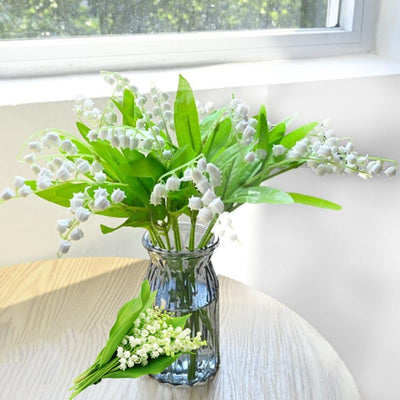 10 Lily of The Valley Flower Bulbs, Fragrant White Lily Flowers Bulbs, Lilies of The Valley Bulbs Perennial for Planting Outdoors
