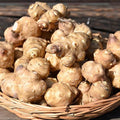 5 Jerusalem Artichokes for Planting, Jerusalem Artichoke Tubers, Fresh Sunchokes Sunroots, Hardy Perennial Edible Roots for Outdoor Garden