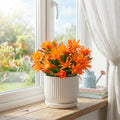 Random Easter Cactus Plant Live, Spring Easter Cactus Plant, 4-6 Inc Tall, Potted in 2 Inc Pot, Vibrant Bloom Houseplant for Hanging Basket, Pot and Shelves