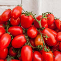 Tomato Plants Live, Red Tomato Plant, Long Red Fruit, Vegetable Plant from 6–8 Inches Tall in 4 Inch Pot for Outdoor Growing