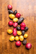 Mixed Color Potato Seeds, True Potato Seeds, 60 Seeds Red Yellow Purple