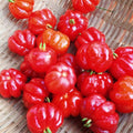 02 Surinam Cherry Trees Live Plants for Outdoor Spring Planting, 4-7" in Tall, Edible, Sweet, High Yielding Fruit Tree Fast-Growing