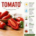 2 Long Red Tomato Plants, 6-8 Inc Tall, Live Tomato Plants for Planting