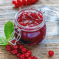 Red Currant Plant Live for Planting, Red Currant Bush 1 Year Old Bare Root, Current Berries Ready to Grow