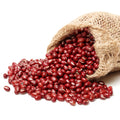 Live Red Bean Plant, Bean Bush Plants, 3-5 Inches Tall