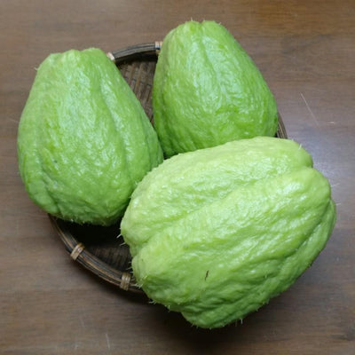 Chayote Squash Plant Live, Chayote Plant, Gallon Pot, 7 to 10 Inc Tall, Live Garden Vegetable Vine