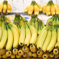 Live Dwarf Cavendish Banana Plant, Tropical Fruit Tree