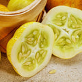 2 Lemon Cucumber Plants Live for Planting, Live Cucumber Plants for Planting, 4 to 7 Inches Tall Vegetable Plant